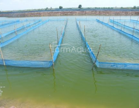 Hapa 120 m2, 1 mm mesh