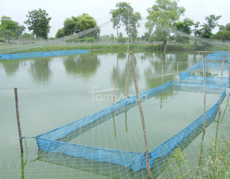 Hapa 20 m2, 1 mm mesh