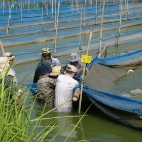 22nd to 26th March 2010 Tilapia Hatchery Training Course