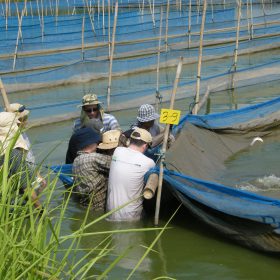 22nd to 26th March 2010 Curso de Prácticas de Hatchery de Tilapia