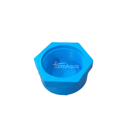 PVC Internal Thread cap